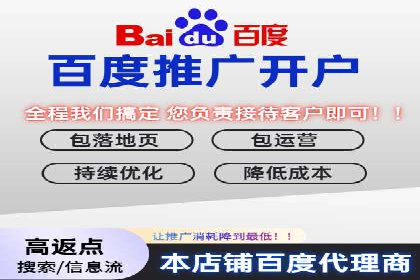 SEM代运营机构成功案例：优化策略与效果分析